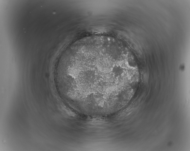 X0000097621393200803211735