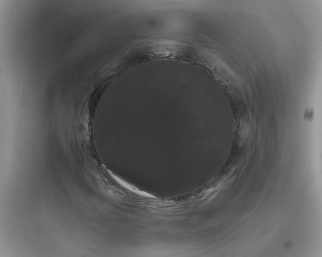 X0000097621394200803211735