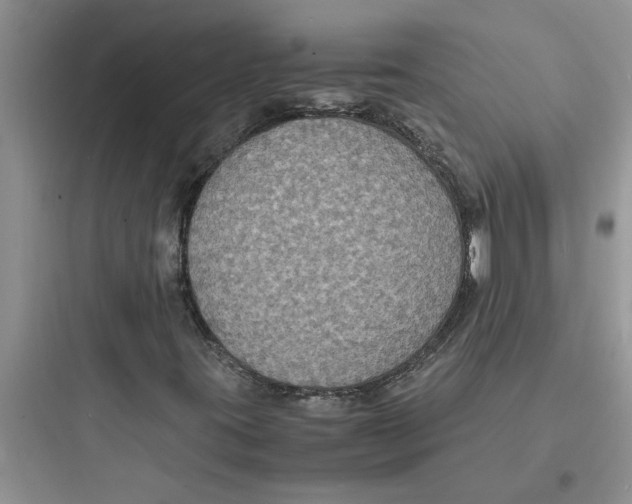X0000097621395200803211735