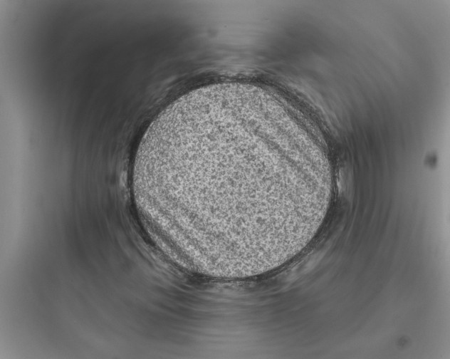 X0000097621396200803211735