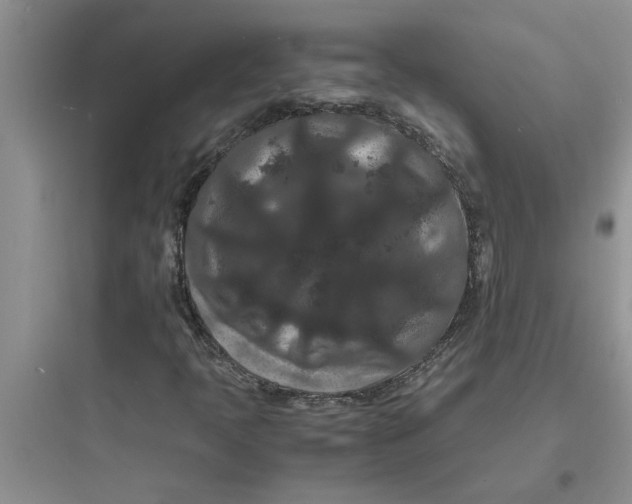 X0000097621397200803211735