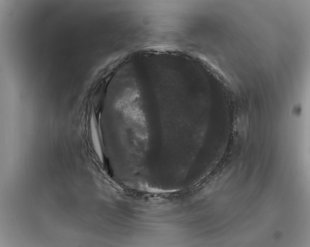 X0000097621398200803211735
