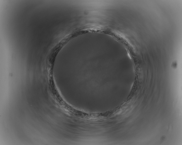 X0000097621399200803211735