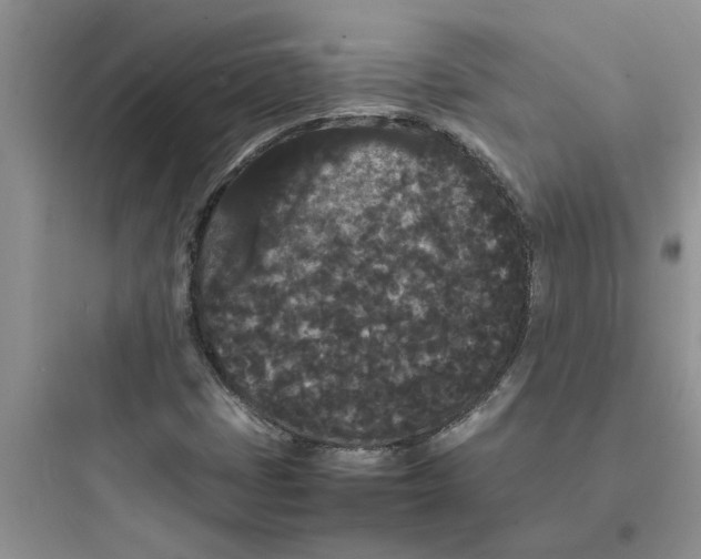 X0000097621401200803211735
