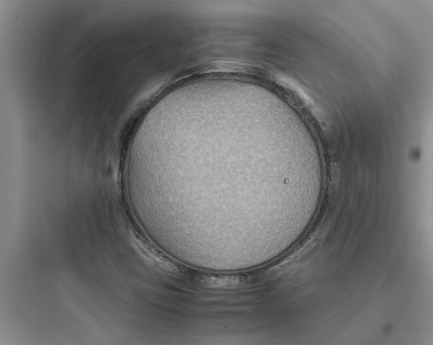 X0000097621403200803211735