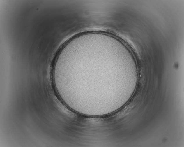 X0000097621404200803211735