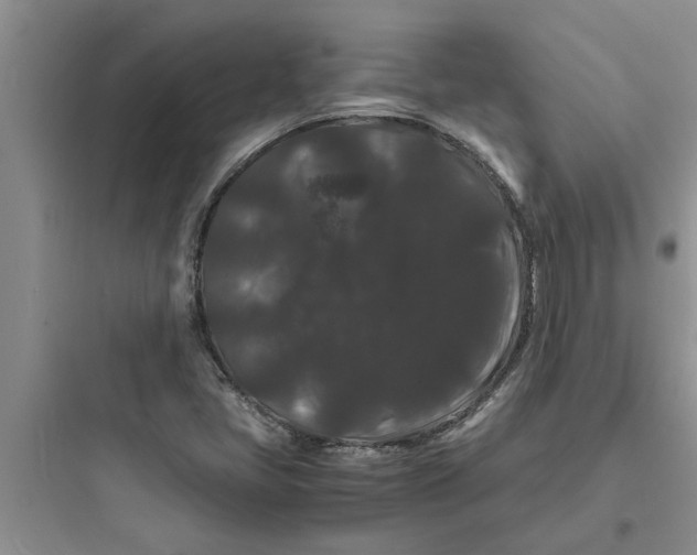 X0000097621405200803211735