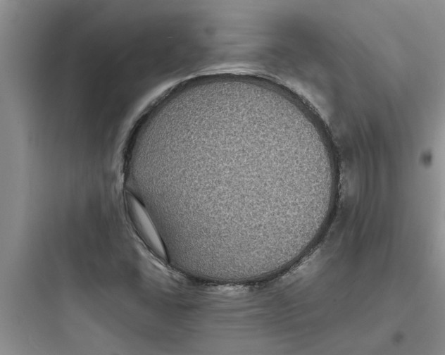 X0000097621406200803211735