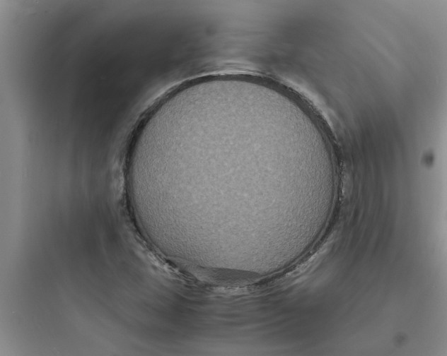 X0000097621407200803211735
