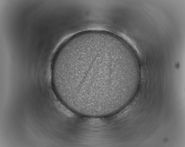 X0000097621408200803211735
