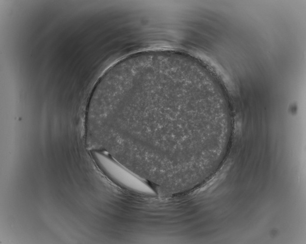 X0000097621409200803211735