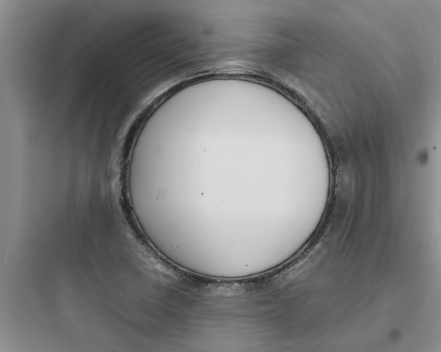 X0000097621410200803211735