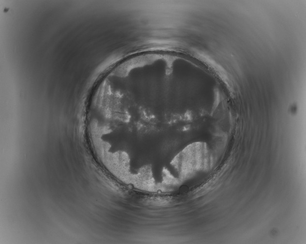X0000097621411200803211735