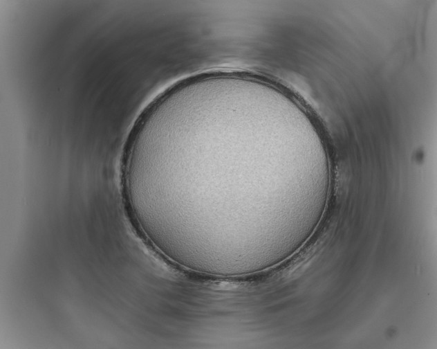 X0000097621412200803211735