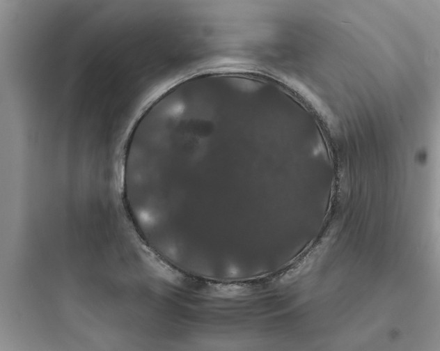 X0000097621413200803211735