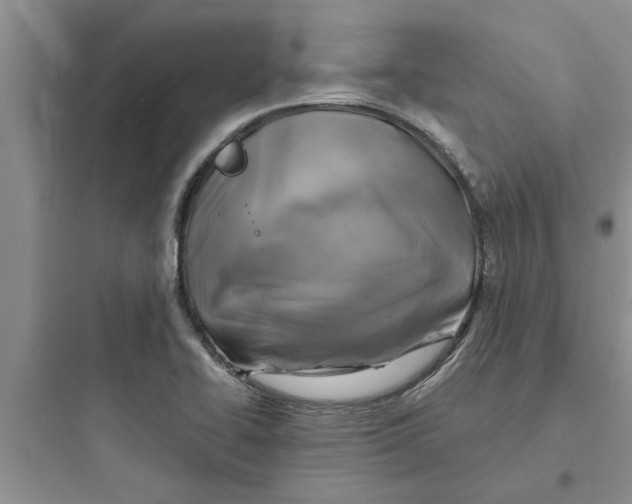 X0000097621414200803211735