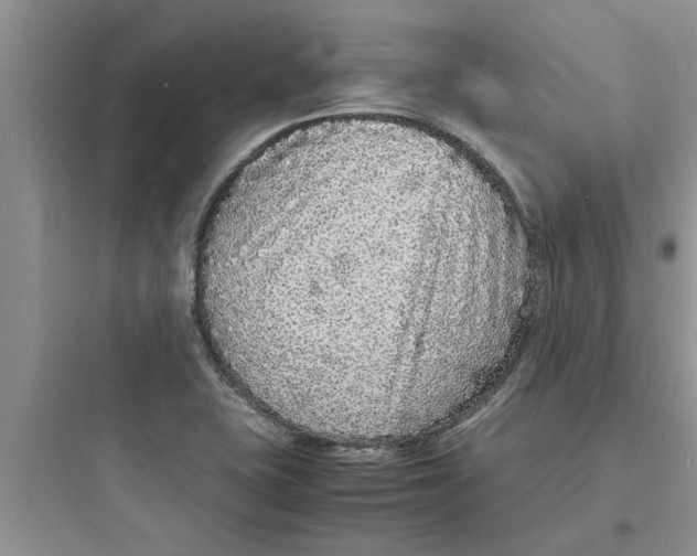 X0000097621415200803211735