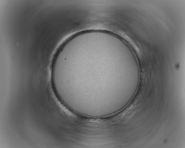 X0000097621416200803211735