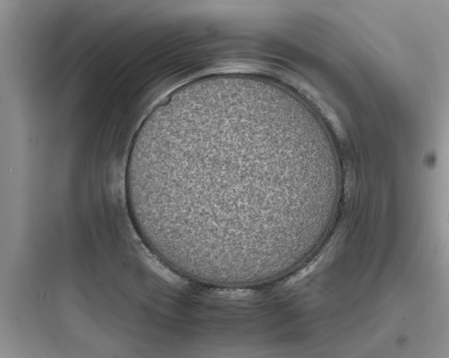 X0000097621417200803211735
