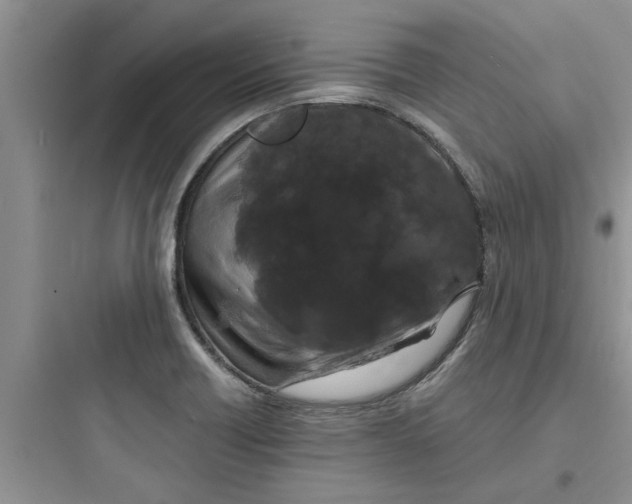 X0000097621418200803211735