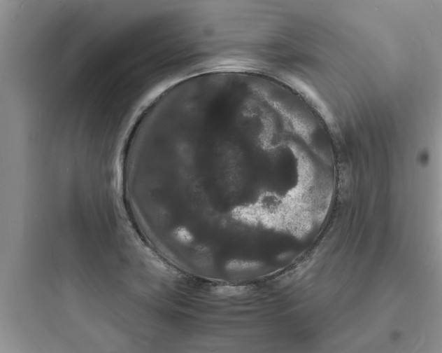X0000097621419200803211735