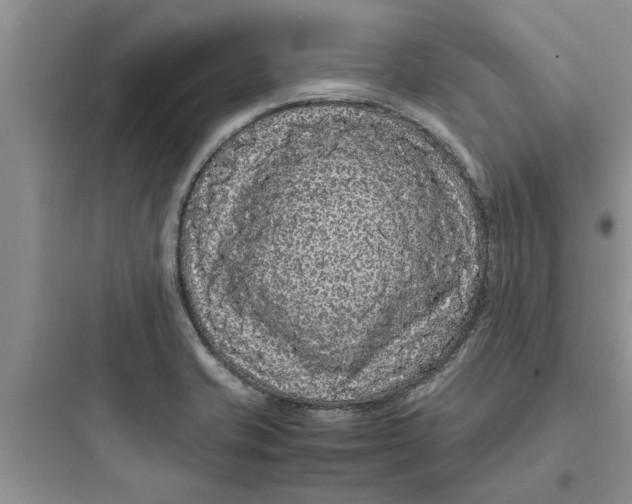 X0000097621421200803211735