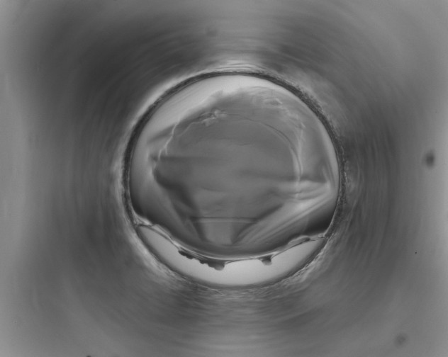 X0000097621422200803211735