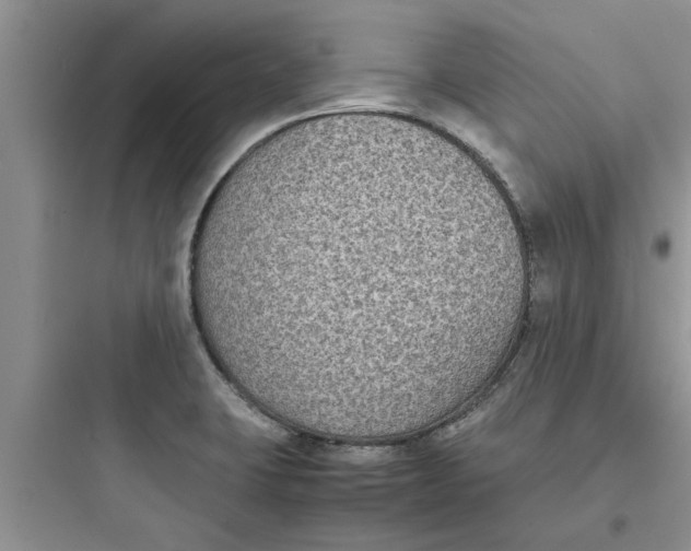 X0000097621423200803211735