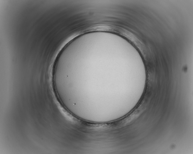 X0000097621426200803211735