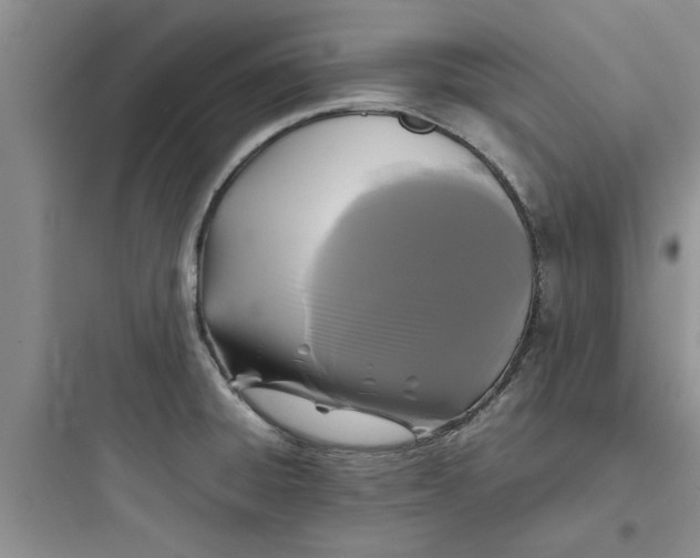 X0000097621428200803211735