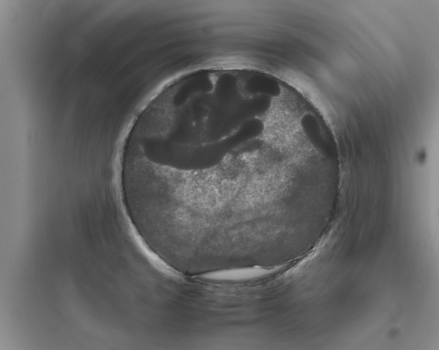 X0000097621429200803211735