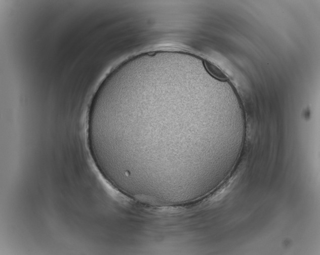 X0000097621430200803211735
