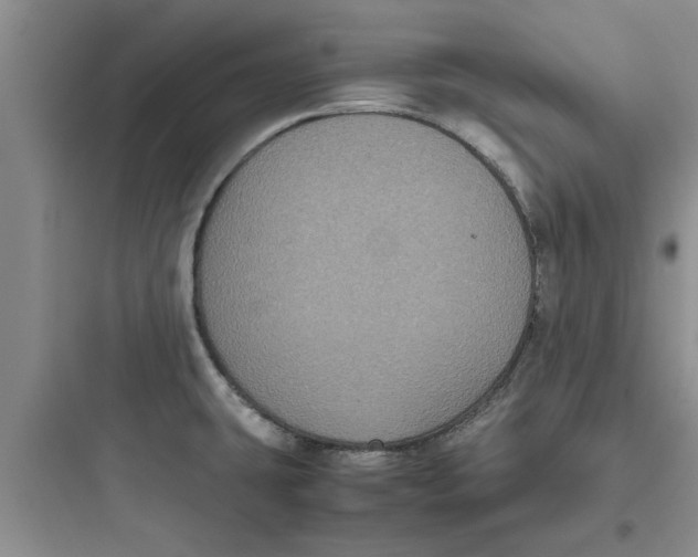X0000097621431200803211735