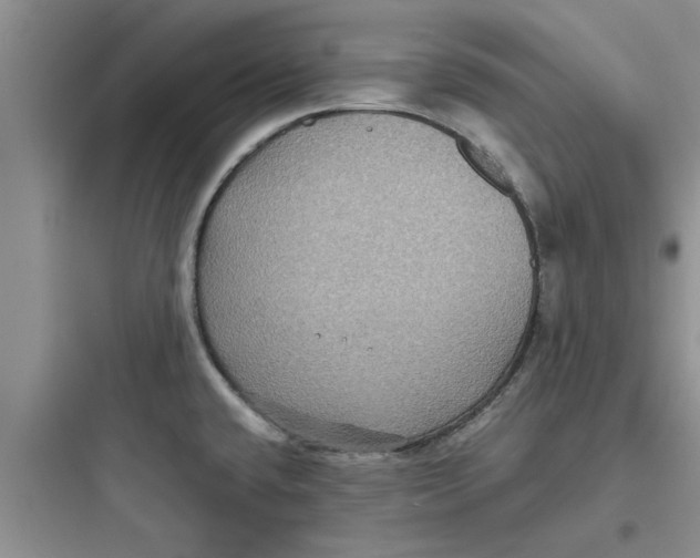 X0000097621432200803211735