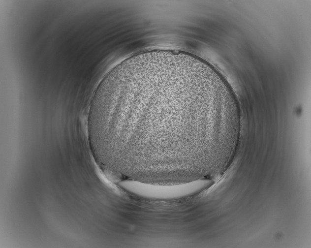 X0000097621433200803211735