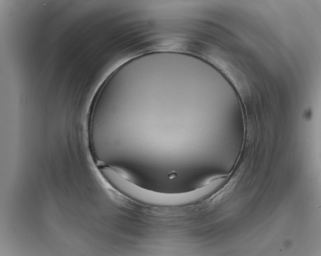 X0000097621434200803211735