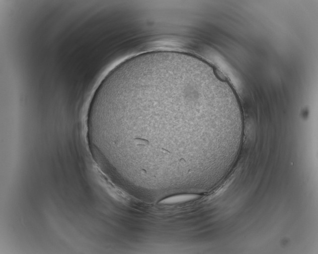 X0000097621435200803211735