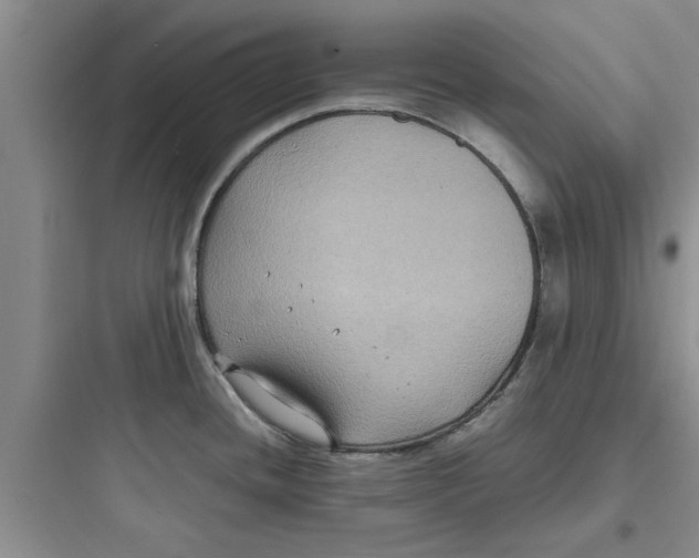 X0000097621436200803211735