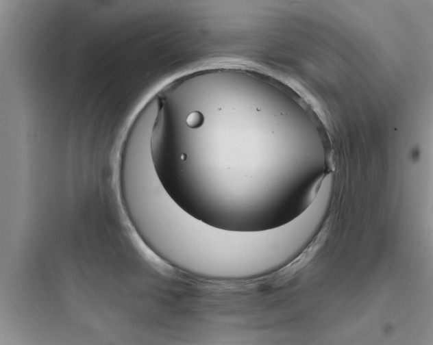 X0000097621438200803211735