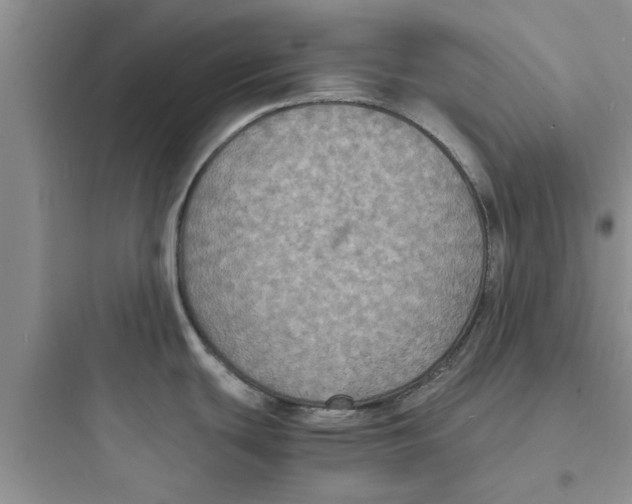 X0000097621439200803211735