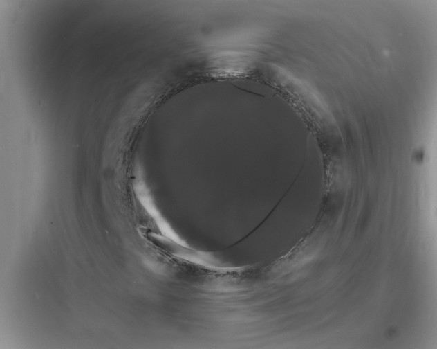 X0000097621441200803211735
