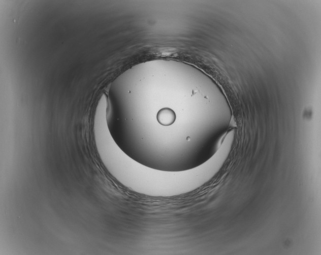 X0000097621442200803211735