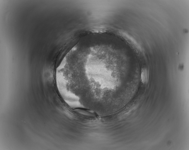 X0000097621444200803211735