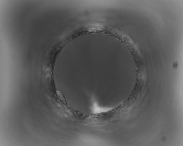 X0000097621445200803211735