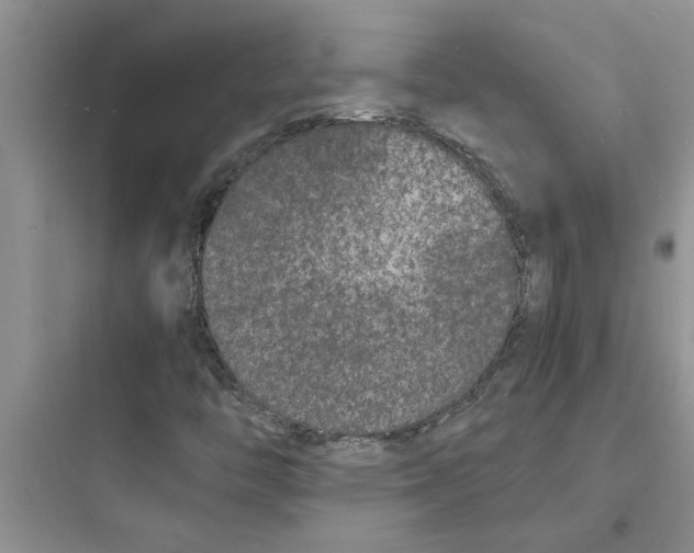 X0000097621446200803211735
