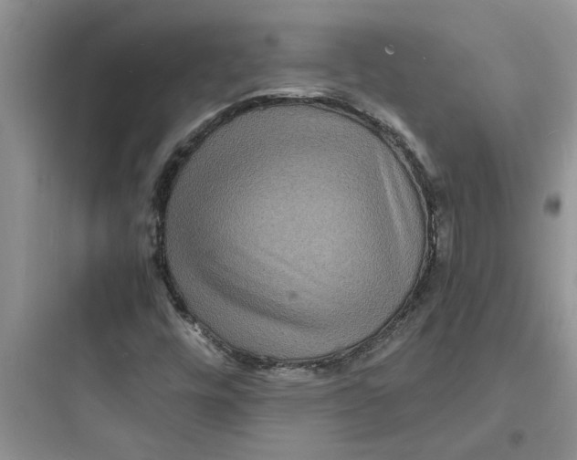 X0000097621448200803211735