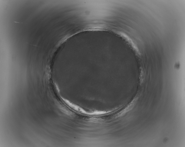 X0000097621449200803211735
