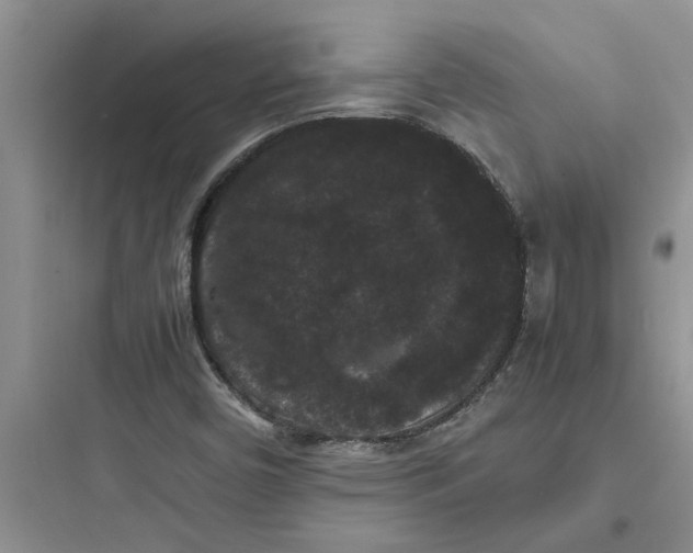 X0000097621450200803211735
