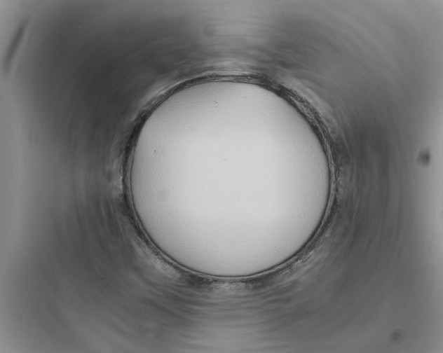X0000097621451200803211735