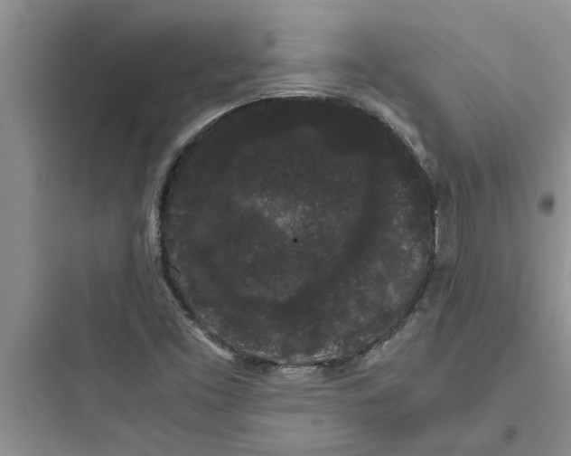 X0000097621453200803211734
